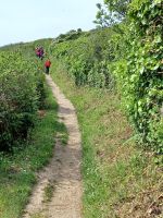 Rundgang auf Guernsey