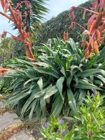 Besuch schöner Gärten 