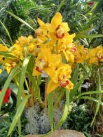 Besuch schöner Gärten 