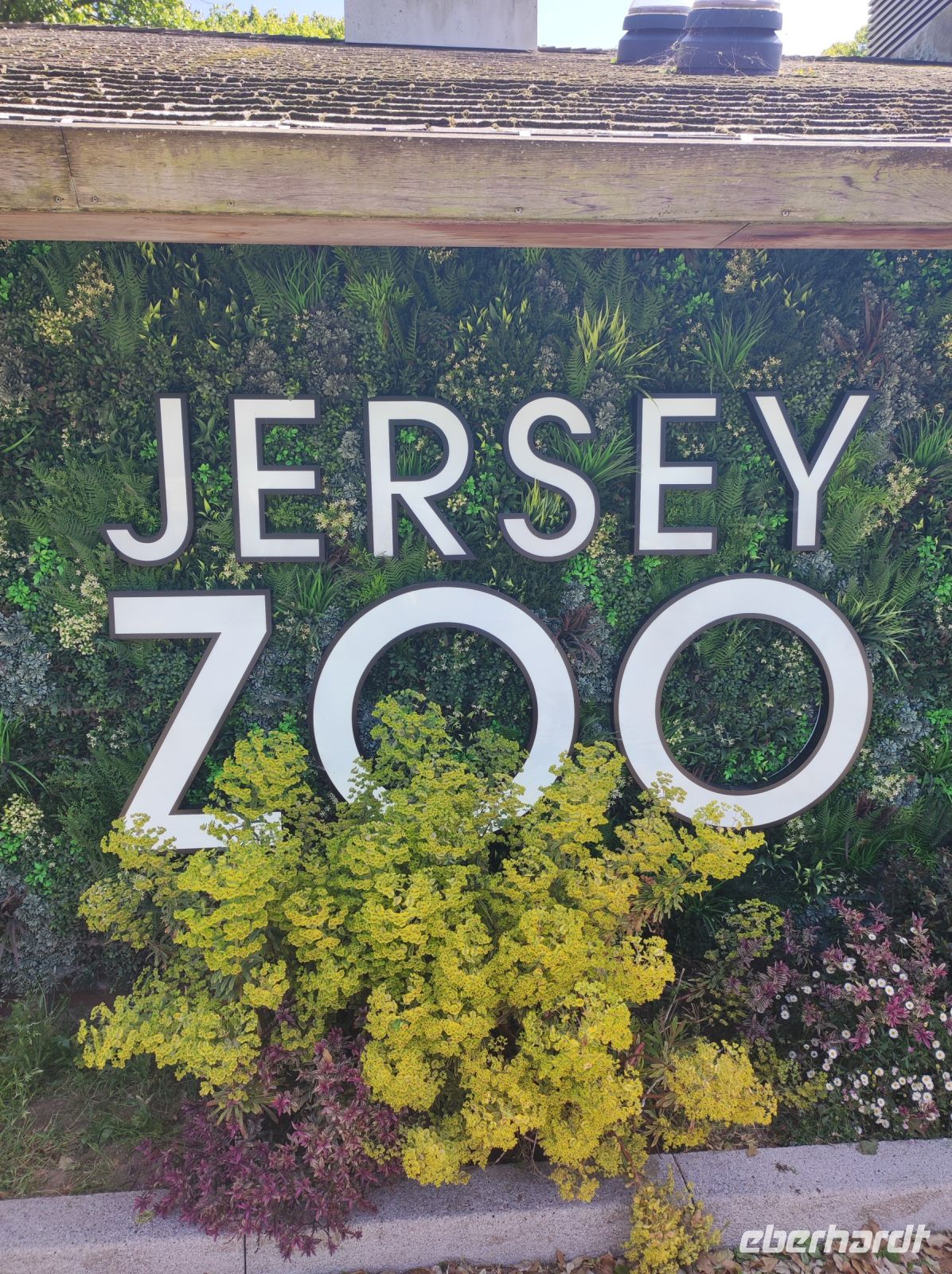 Jersey Zoo
