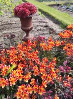 Privatgarten auf Jersey