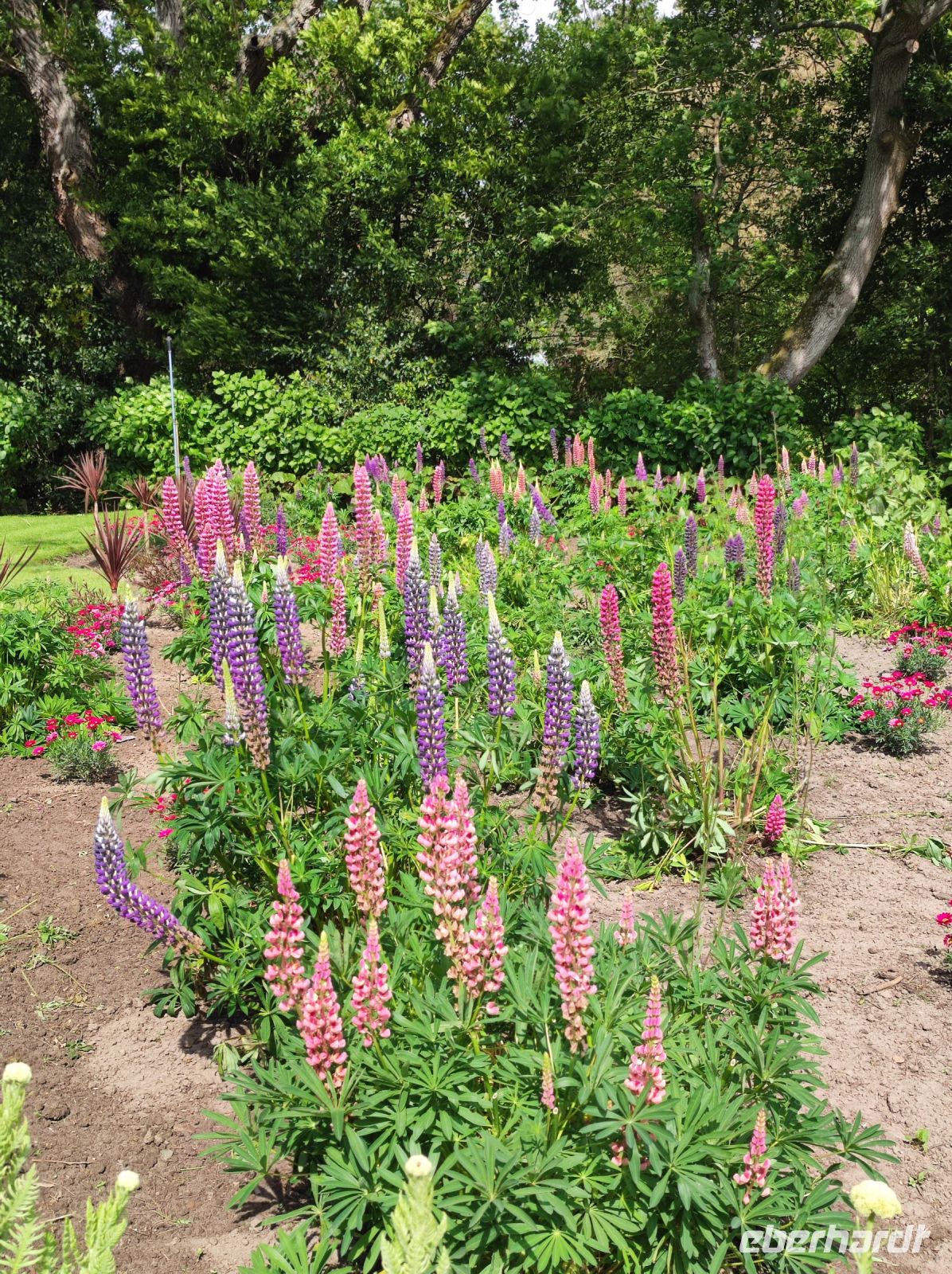 Privatgarten auf Jersey