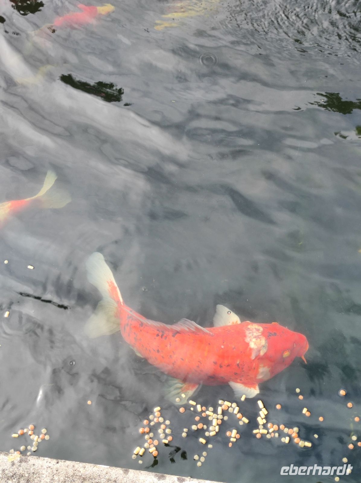 Privatgarten auf Jersey