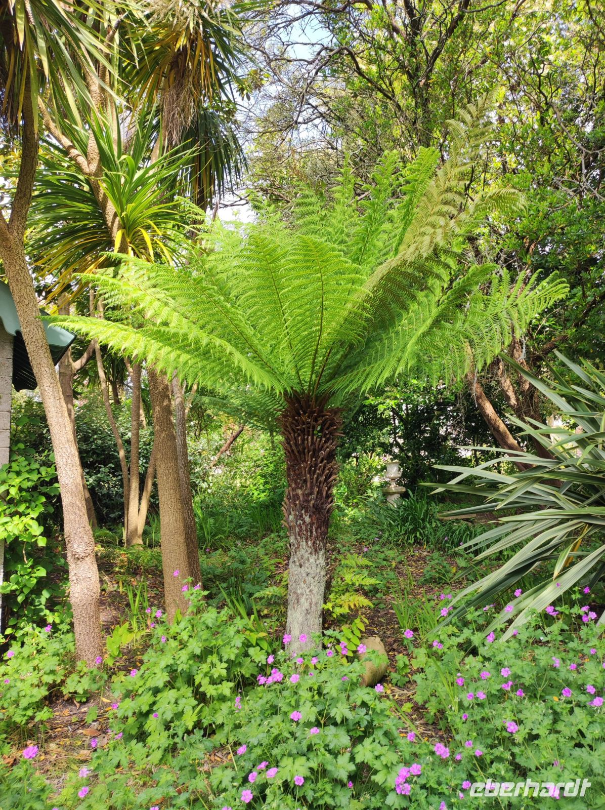 Privatgarten auf Jersey