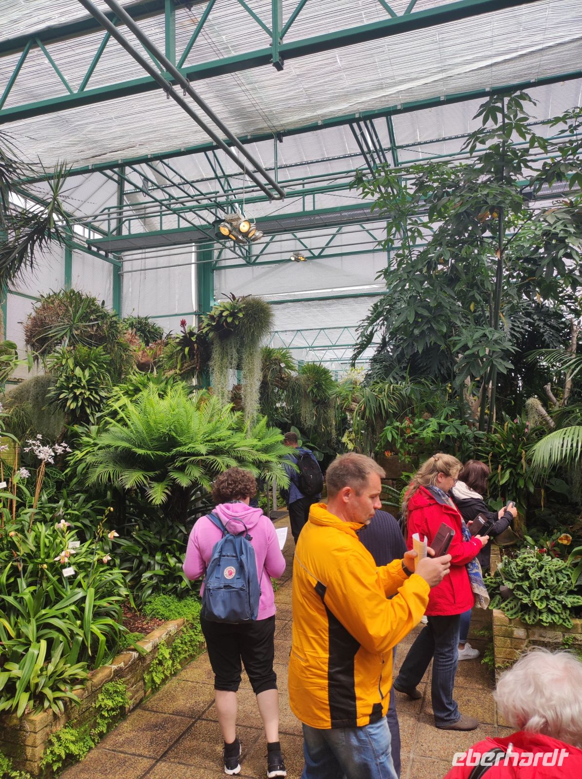 Eric Young Orchid Foundation