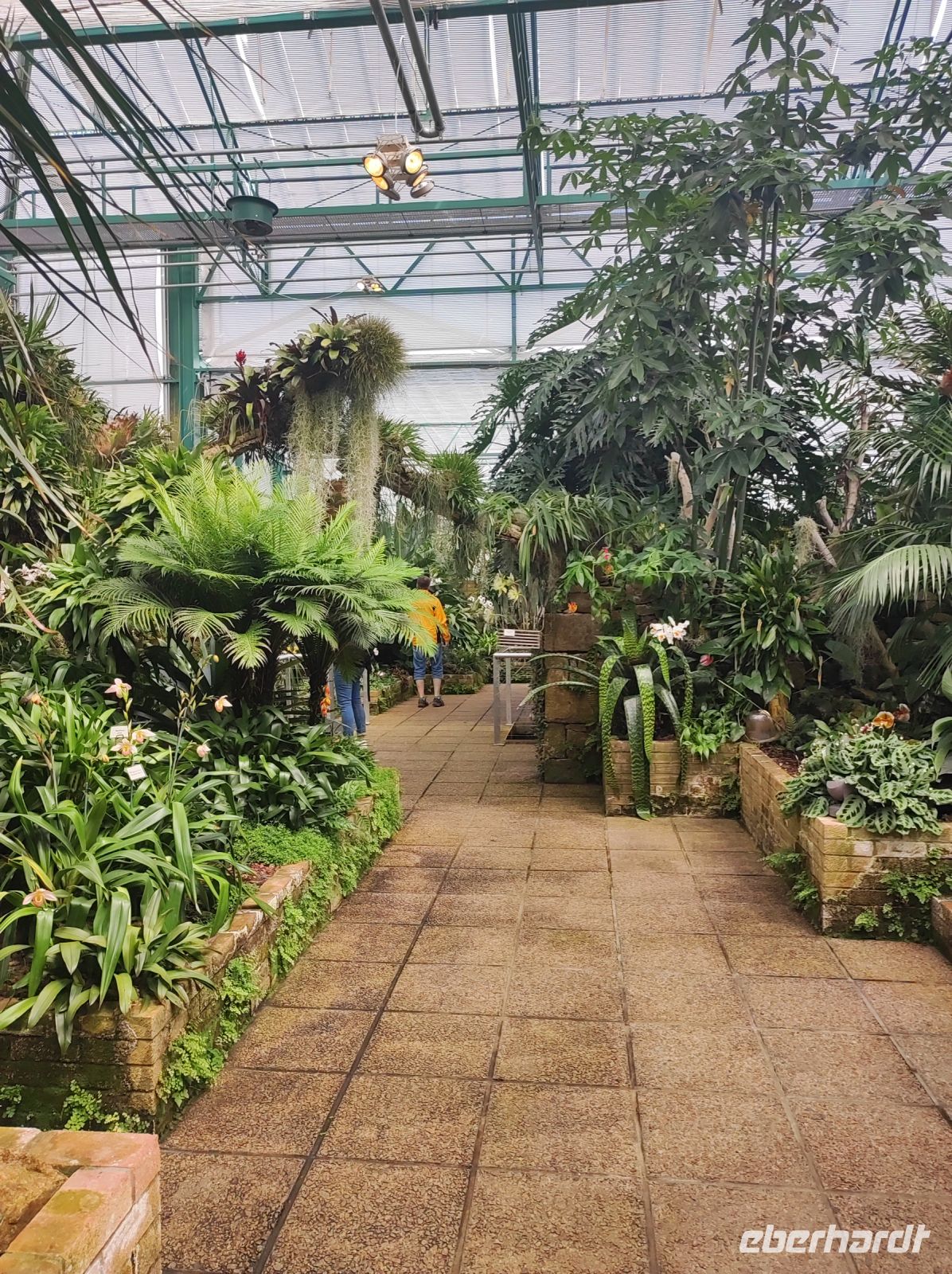 Eric Young Orchid Foundation