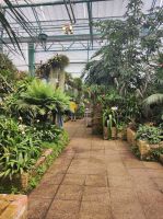 Eric Young Orchid Foundation