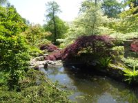 Samares Manor - Japanischer Garten