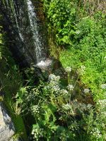 Jersey - kleiner Wasserfall an Bouley  Bay