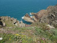 Jersey, Klippen bei Grosnez Bay
