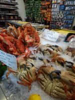 Jersey, St. Helier - Fish Market
