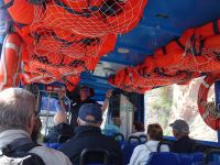 Paddledog im Inneren