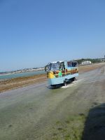 St. Helier - Paddledog im Einsatz bei Ebbe