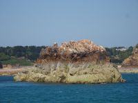 Jersey - Südküste bei Le Fret Point