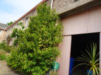 Jersey - Gartentour - zu Besuch bei Anne Binney