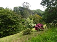 ... prachtvoller Garten...