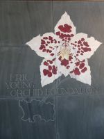 Zu Besuch in der Eric Young Orchideen Foundation ...