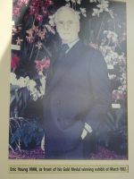 ...vom Hausherrn mit Goldmedaillenorchidee