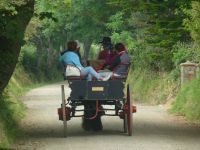 Auf Pferdekutschen lernen die Touristen die Insel kennen.