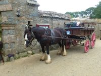 Und das Pferd wartet geduldig auf die Gäste vor der Seigneurie, dem Sitz des Seigneurs der Insel.