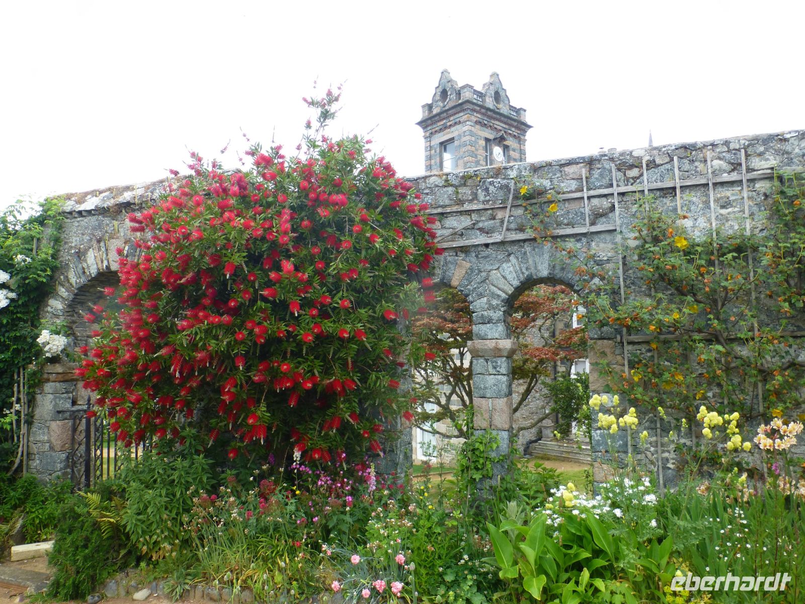 In den verschiedenen „Gartenräumen“ blüht es um die Wette. 