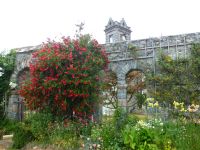 In den verschiedenen „Gartenräumen“ blüht es um die Wette. 