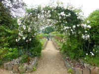 Jedem Blick folgt sofort die Versuchung, hindurchzugehen, entlangzuspazieren.