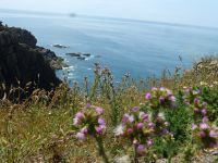 Die Burgbewohner hatten einen schönen Ausblick.