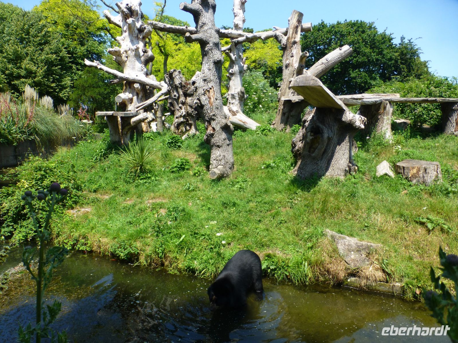 Der Jersey Zoo hat einen sehr guten Ruf. Eine einzigartige Anlage zur Nachzucht bedrohter Tierarten. 