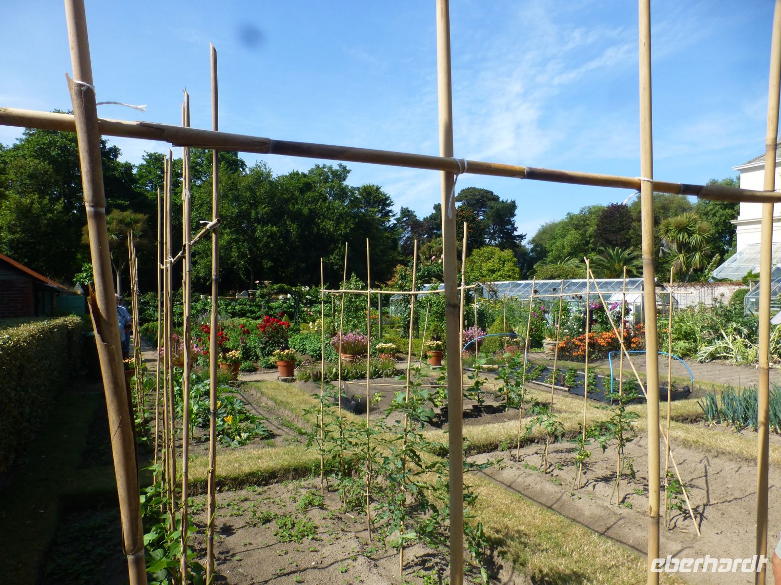 … zu Häupten des gepflegten Gemüsegartens.