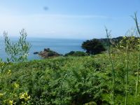 In Portelet Bay machen wir im gleichnamigen Inn eine Pause.