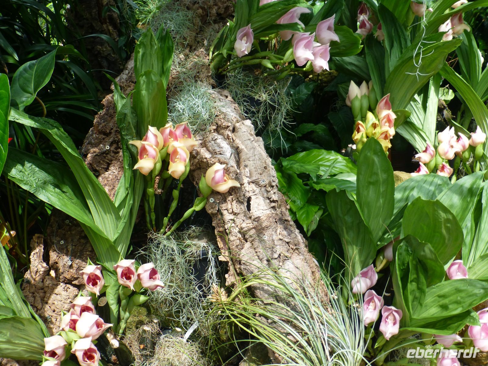 So viele verschiedene Formen und Farben.