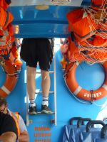 Beim Rückwärtsfahren braucht man jemanden im Ausguck.