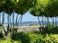Von seinem Garten hat man einen schönen Blick auf die Bucht, nach Herm und nach Sark.