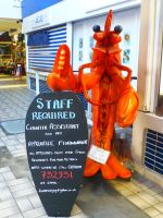 Der Fischmarkt in St. Helier sucht händeringend Arbeitskräfte. 
