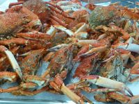 Die Spinnenkrabben hatten wir gestern auf dem vorzüglichen Fischbuffet des Hotels. 