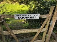 Wanderung auf den Green Lanes im inneren Jerseys