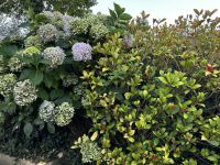 Wanderung auf den Green Lanes im inneren Jerseys