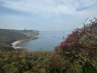 Küstenwanderung oberhalb der Bonne Nuit Bay