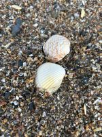 ein letzter Strandspaziergang vor der Abreise