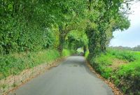 Die herrlichen Green Lanes - Straßen auf Jersey