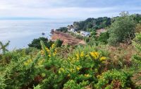 Wanderung an der Südküste von Jersey - Beauport Bay