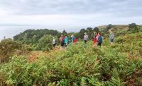 Wanderung an der Südküste von Jersey - durch Farne und Ginsterbüsche