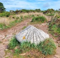 Wanderung an der Südküste von Jersey - Jakobsmuschel aus Stein