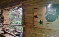 Fledermaus-Halle im Jersey Zoo