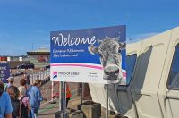 Willkommen zurück auf Jersey - am Fährhafen von St. Helier
