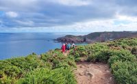 Wanderung zwischen Grosnez und Plemont an der Nordküste Jerseys