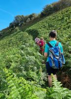 Wie im Dschungel ist dieser Aufstieg bei der Wanderung an der Nordküste