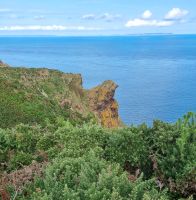 Könnt ihr den Spatz erkennen?