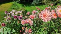 Bunte Gartenblumen unterwegs